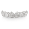 Silver Grillz