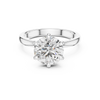 Round Brilliant Cut Engagement Ring