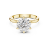 Round Brilliant Cut Engagement Ring